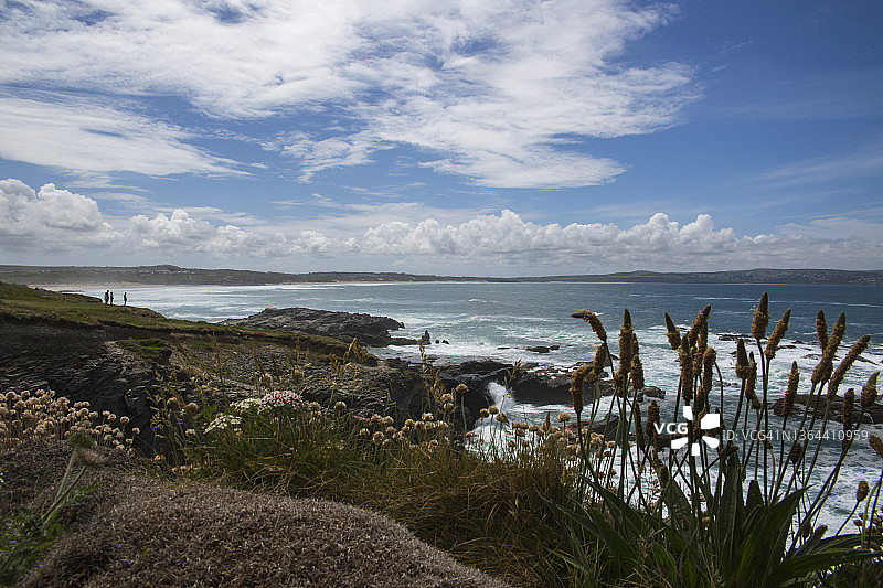 从戈弗雷看圣艾夫斯湾图片素材