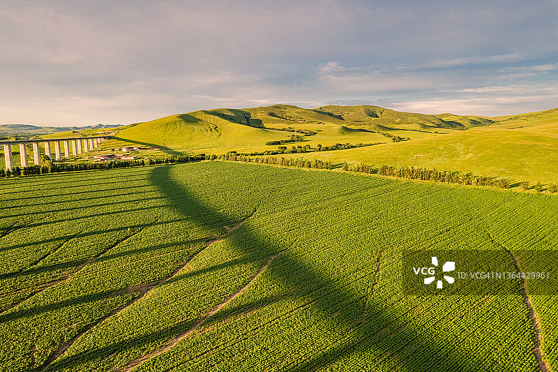 草原与桥梁图片素材
