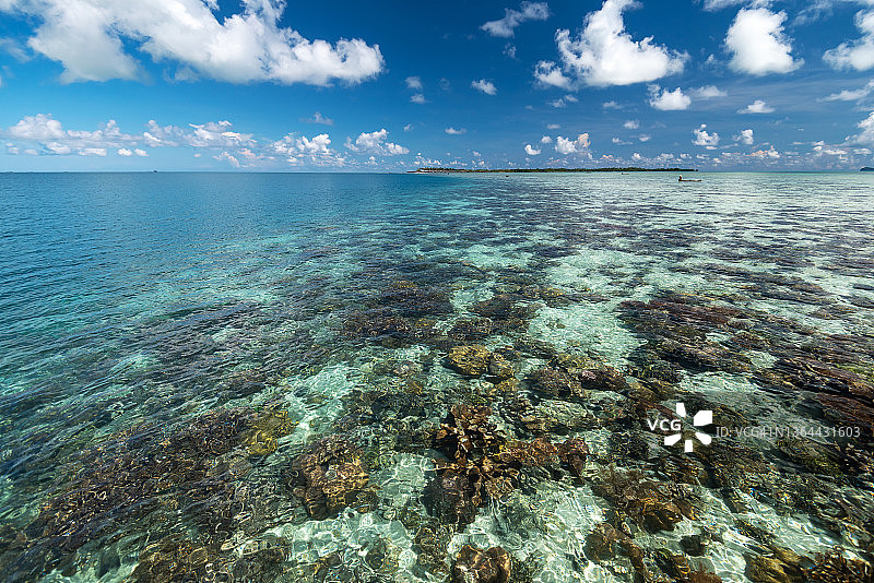 诗巴丹岛附近的珊瑚和碧绿海水图片素材