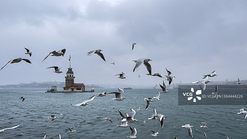 冬季伊斯坦布尔的少女塔图片素材