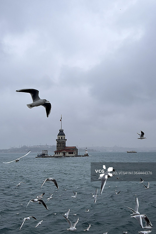冬季伊斯坦布尔的少女塔图片素材