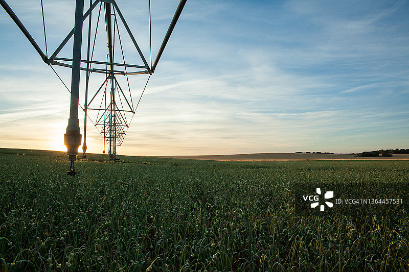 采用自动化灌溉系统的农田图片素材