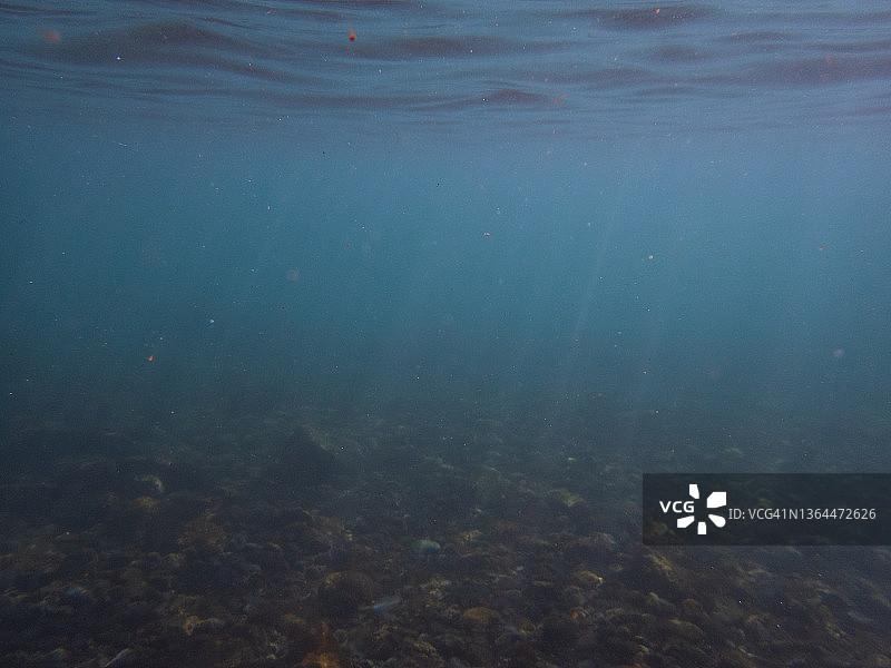 水下风光：拉帕尔马岛洛斯坎卡霍斯海滩，加那利群岛图片素材