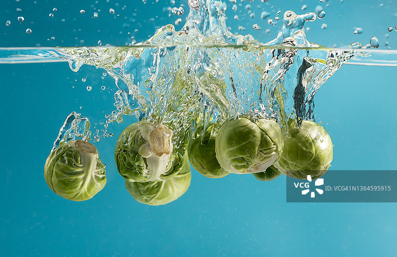 抱子甘蓝落入清澈的蓝色水中图片素材