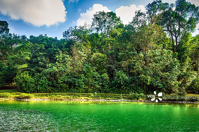 新加坡麦里芝蓄水池公园图片素材