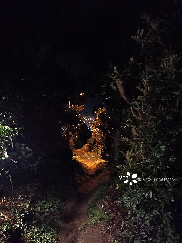 夜间小路图片素材