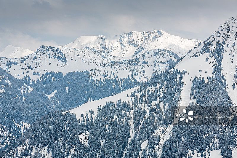 列支敦士登白雪覆盖的森林山脉图片素材