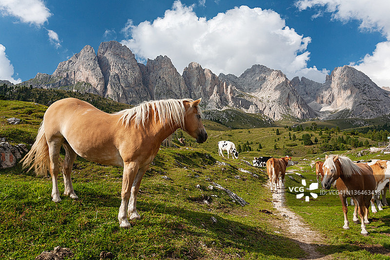 多洛米蒂山脉上的夏福林格马图片素材