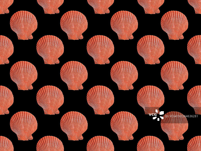 扇贝无缝图案图片素材