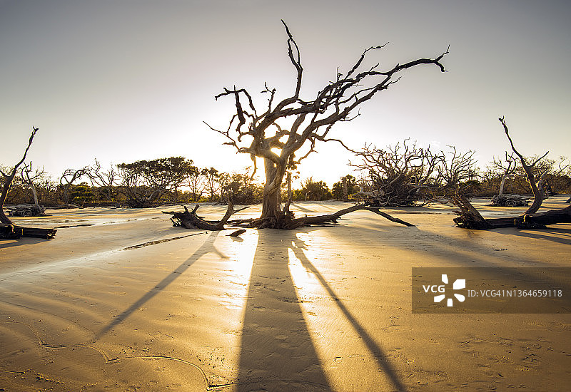 格鲁吉亚哲基尔岛漂流木海滩图片素材