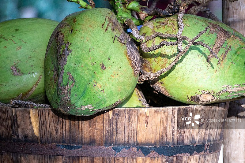 椰子篮子图片素材