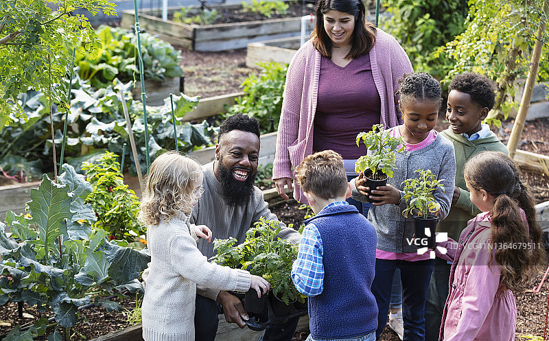 成人与儿童在社区花园种植图片素材