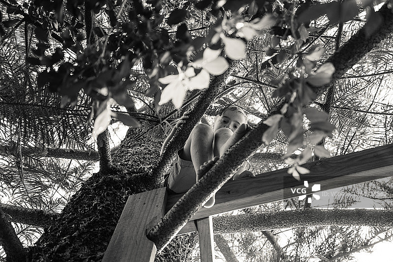 男孩爬树的肖像图片素材