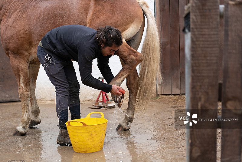 用水清洗马蹄的年轻人图片素材