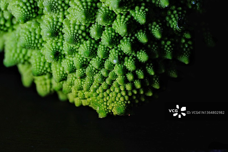 罗马甘蓝局部图图片素材