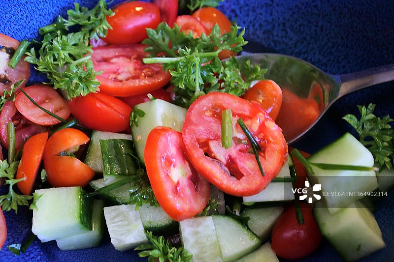 新鲜中东风味蔬菜沙拉图片素材