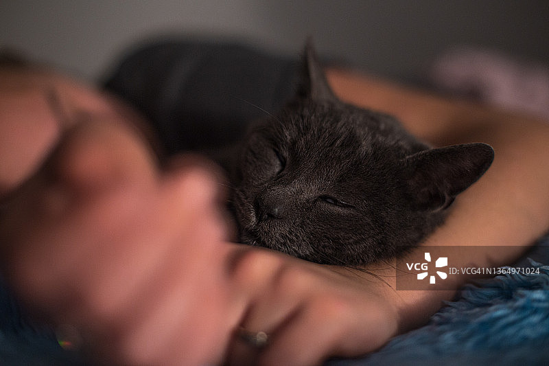 年轻漂亮的少女和她的俄罗斯蓝猫躺在床上，猫把头放在她的手上图片素材