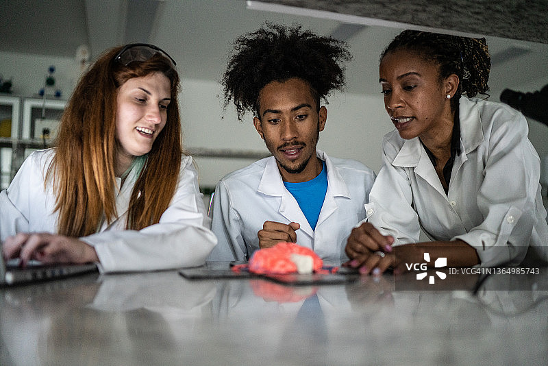 同事们在实验室与老师一起分析大脑模型图片素材