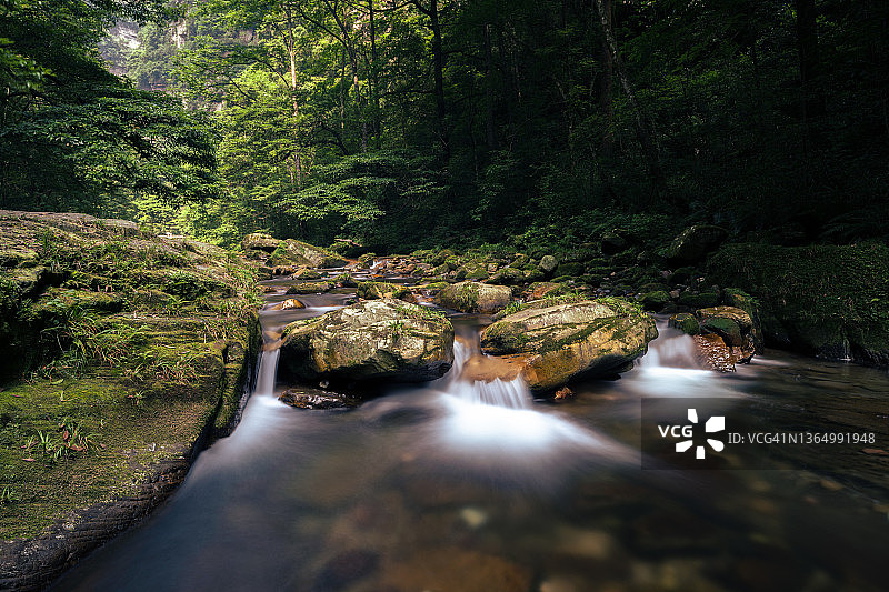 张家界国家森林公园图片素材