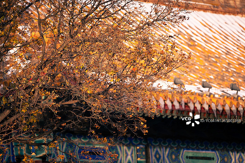 中国北京雪中的故宫图片素材