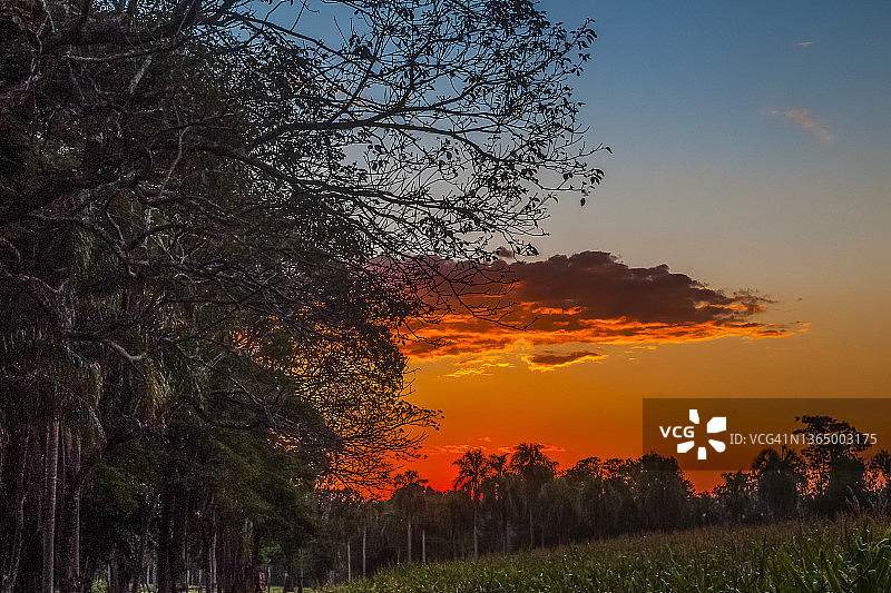 巴西隆德里纳的日落图片素材