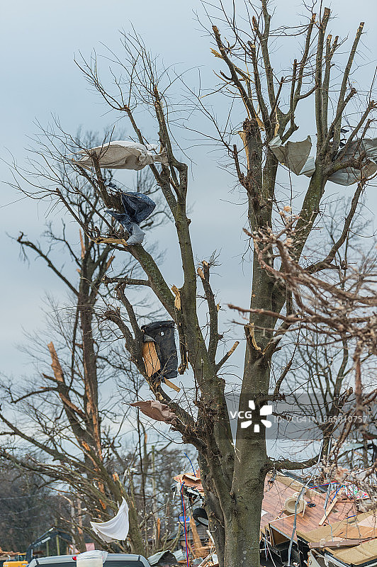 龙卷风过后，树上挂着衣服和碎片图片素材