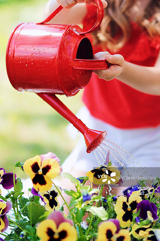 花园花店夏季摄影：儿童用红色喷壶浇花图片素材