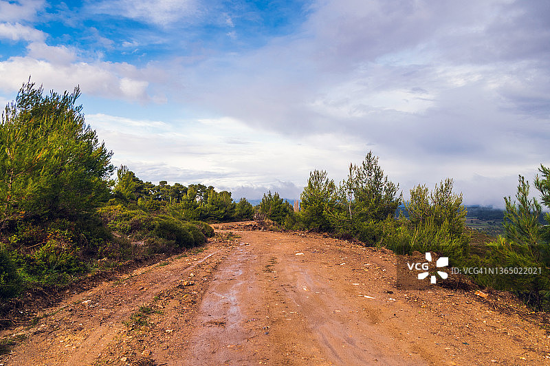 穿过森林的泥泞道路图片素材