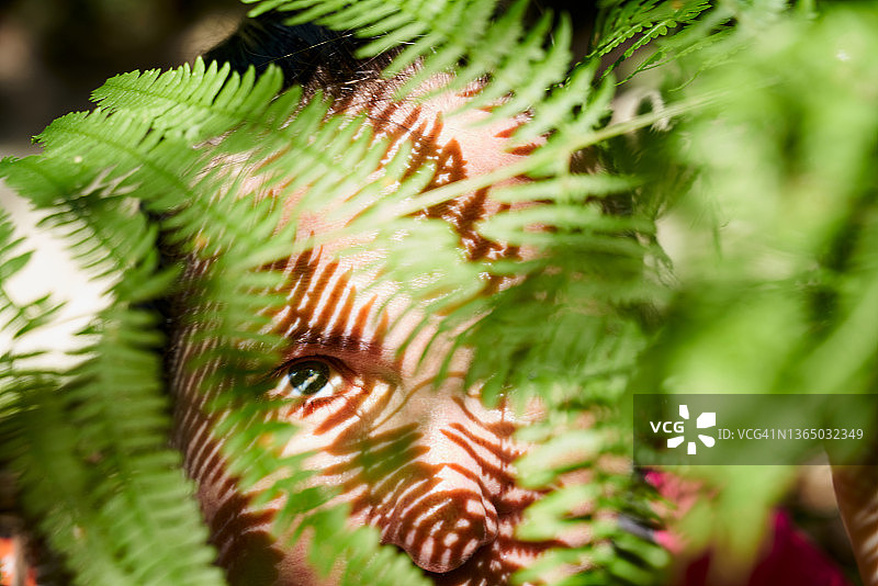 躲在绿色蕨类植物后面的白人女性，她在潜行图片素材