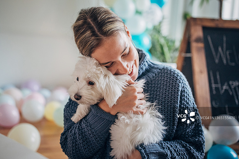 年轻女人在装饰生日派对时与马耳他犬玩耍图片素材