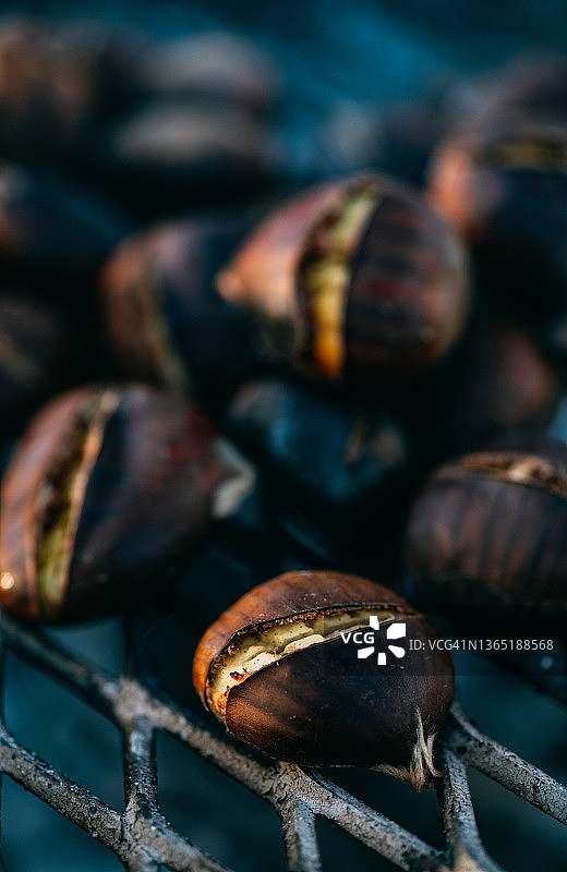 篝火烤栗子图片素材