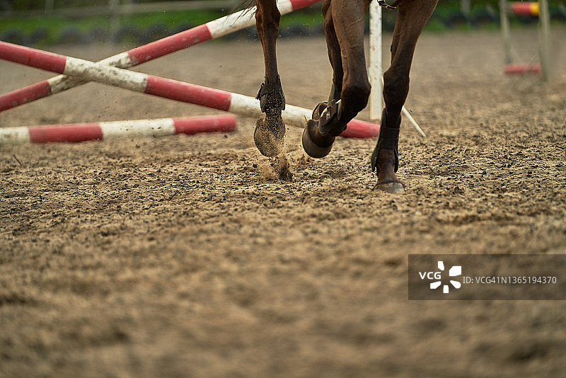 马蹄在围场中扬起尘土图片素材