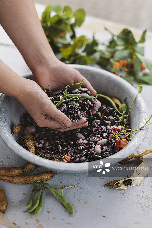 碗里的芸豆图片素材