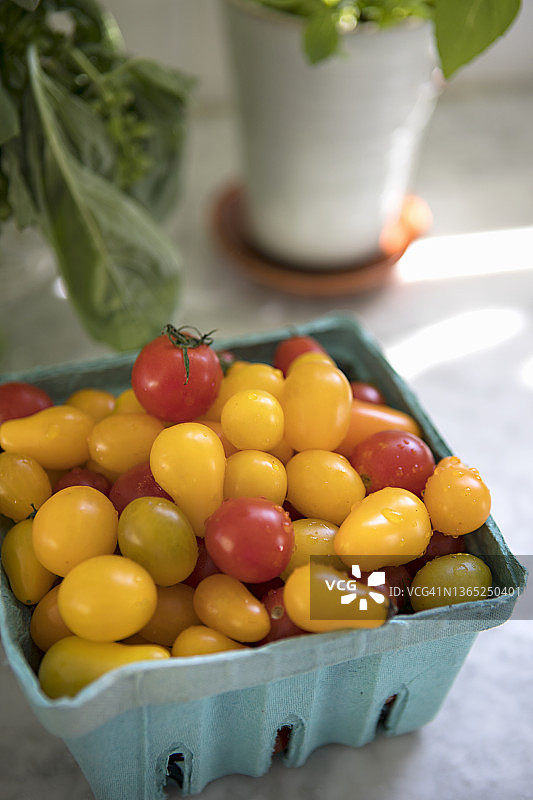 圣女果图片素材