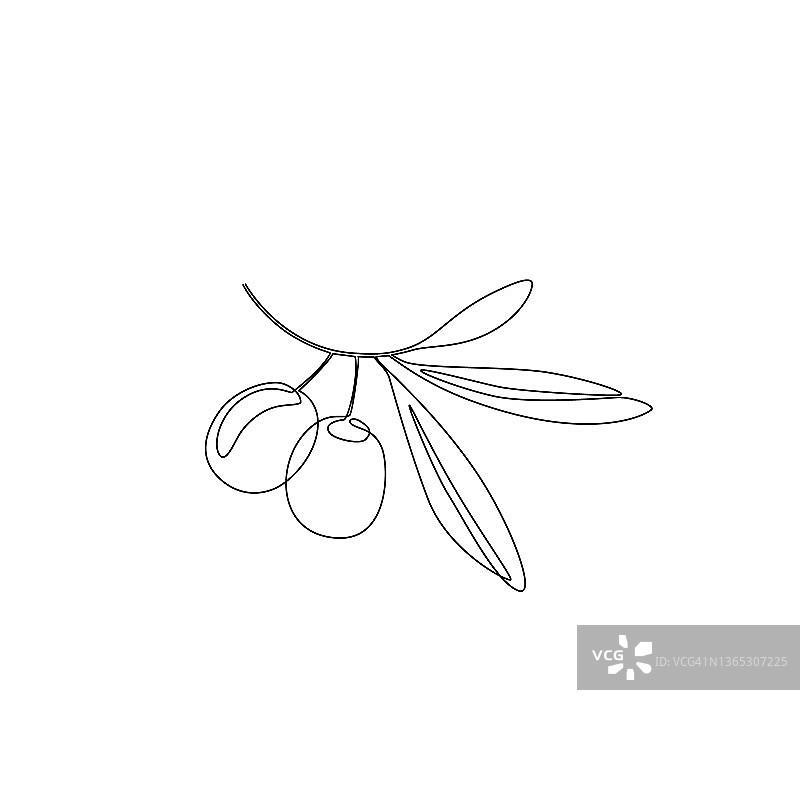 连续线条艺术风格的橄榄叶图片素材