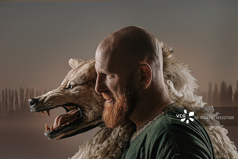 红发维京女战士与狼的影棚照图片素材