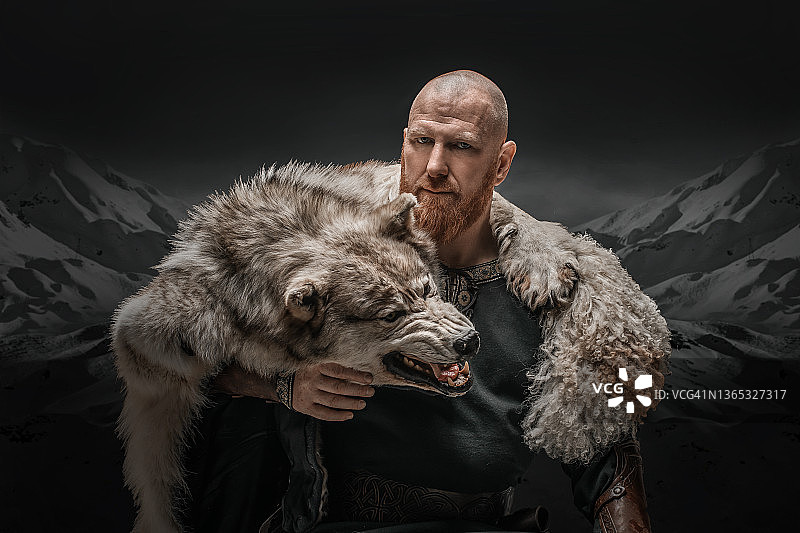 红发维京女战士与狼的影棚照图片素材