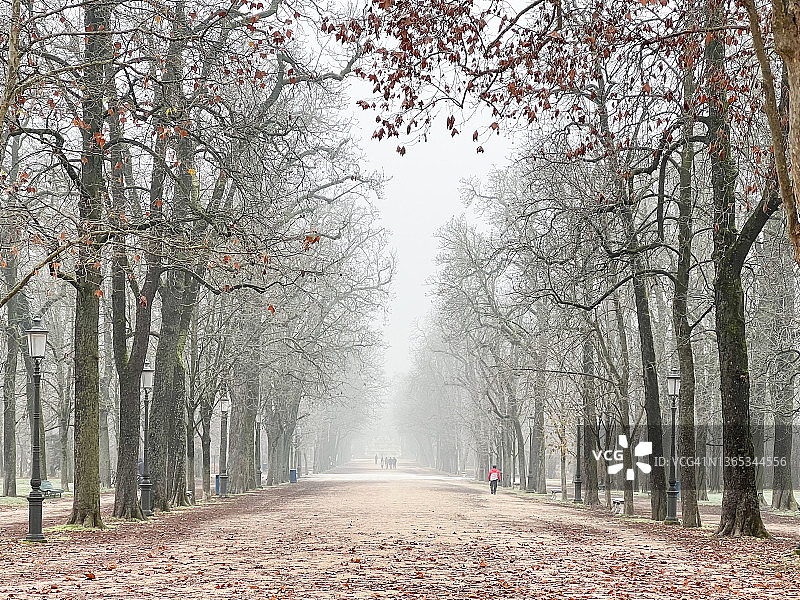 帕尔马杜卡莱公园图片素材