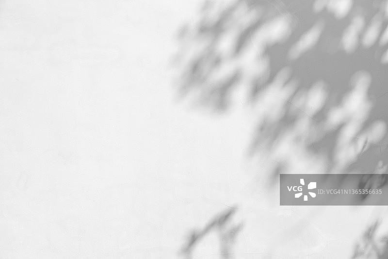 白色混凝土墙上的阴影图片素材