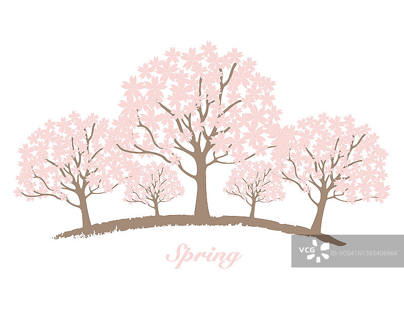 樱花树插画图片素材