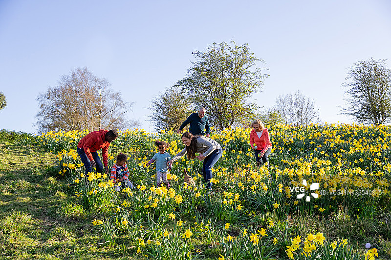 寻找复活节彩蛋图片素材