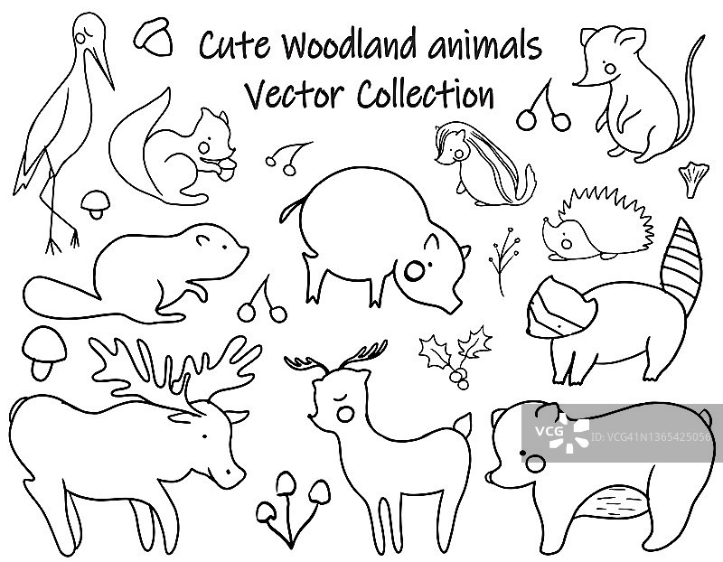 手绘可爱森林动物矢量素材图片素材