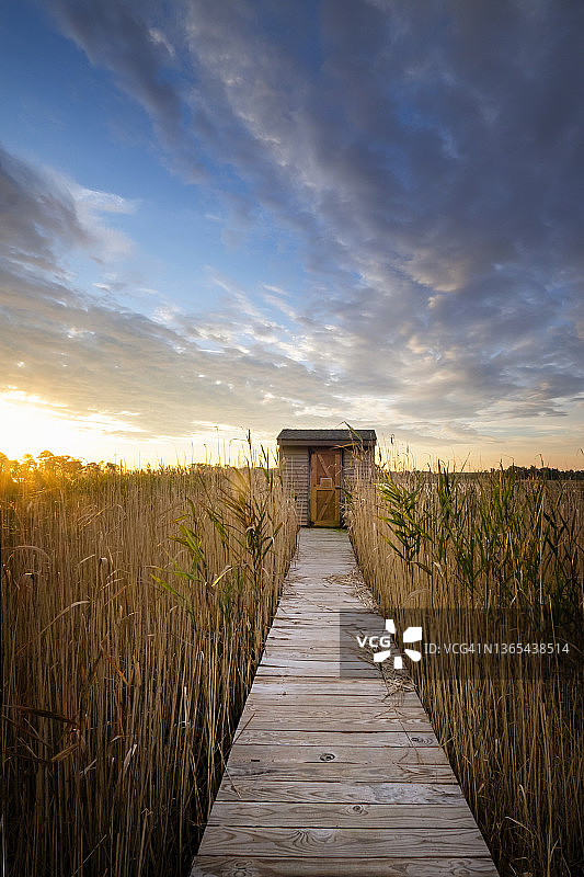 日出时分的壮丽云彩，木板路通往特拉华州黄金角自然保护区的摄影盲区图片素材