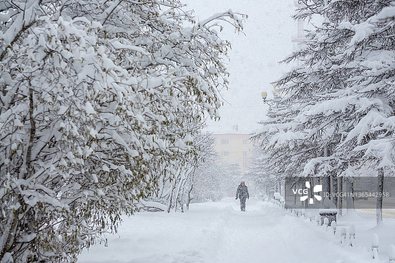大雪中，男人走在小巷里，人行道和树枝上积满了雪图片素材