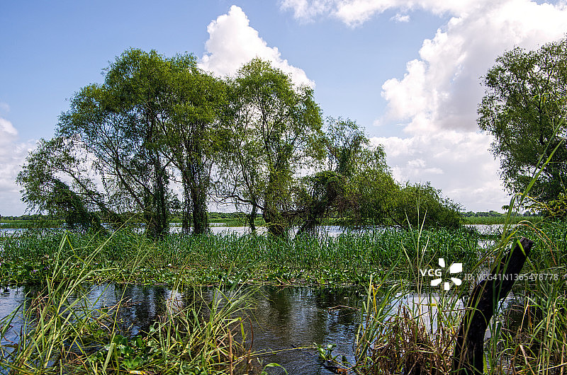 墨西哥塔巴斯科州帕里利亚镇195号公路旁被洪水淹没的土地图片素材