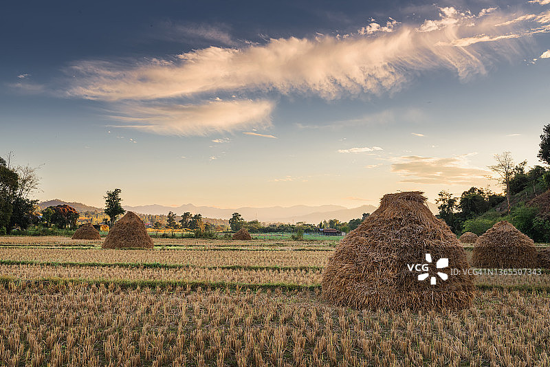 稻草堆农业稻田风光图片素材