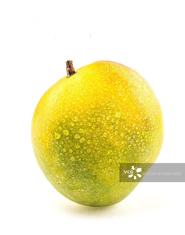 白色背景上的芒果图片素材