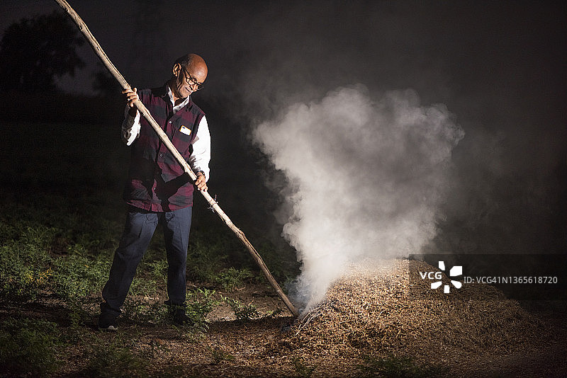 快乐的印度农民在鹰嘴豆田图片素材