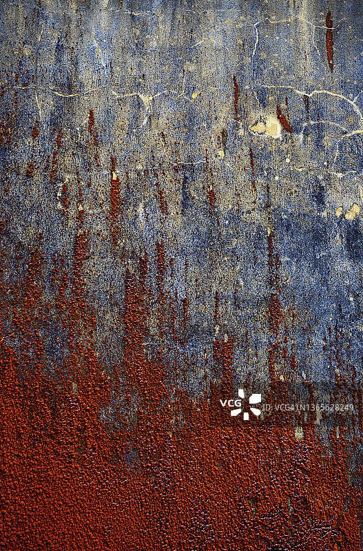 覆盖旧墙的红藻图片素材