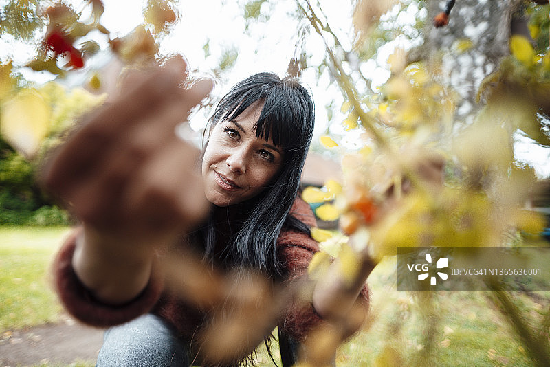 在后院采摘水果的女人图片素材
